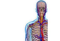 Thoracic Outlet Syndrome